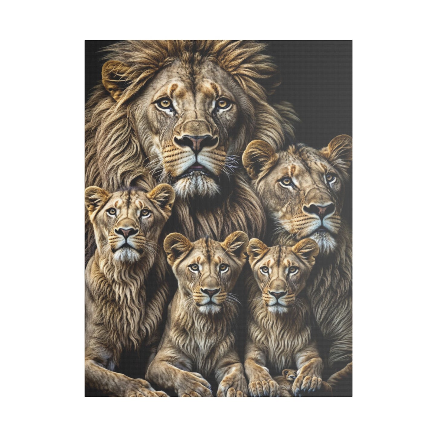 Lion Family Pride Satin Canvas, Stretched