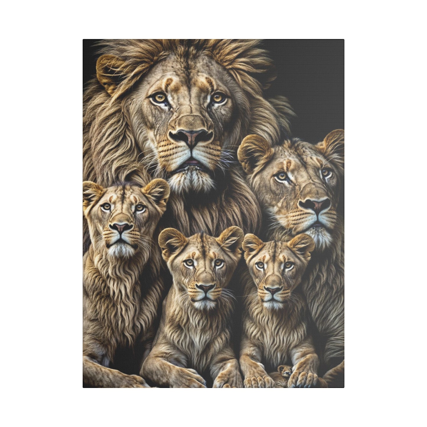 Lion Family Pride Satin Canvas, Stretched